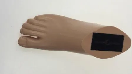 Carbon Fiber Storage Energy Artificial Limbs Prosthetic Leg Prosthetic Foot Prosthetics Foot 